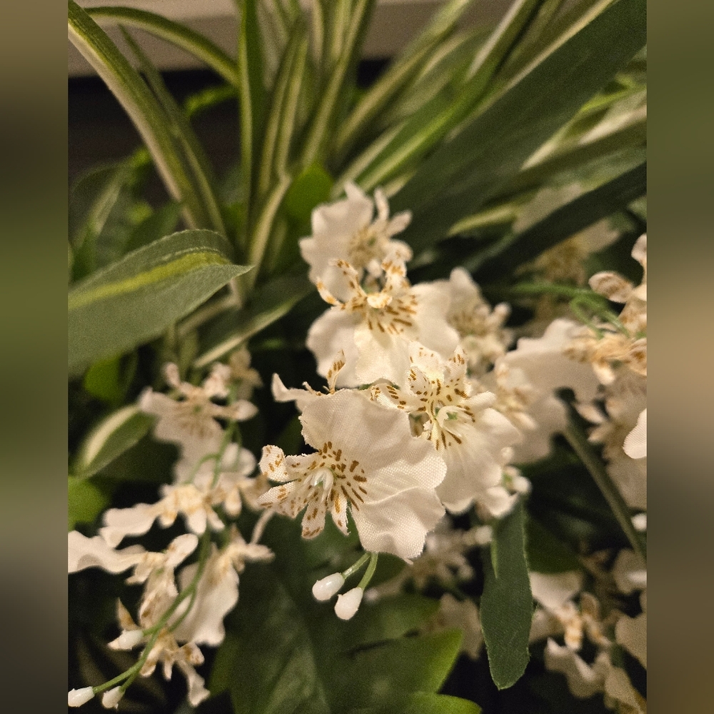 Lush White Orchid Greenery Grapevine Wreath - Picture 4 of 5